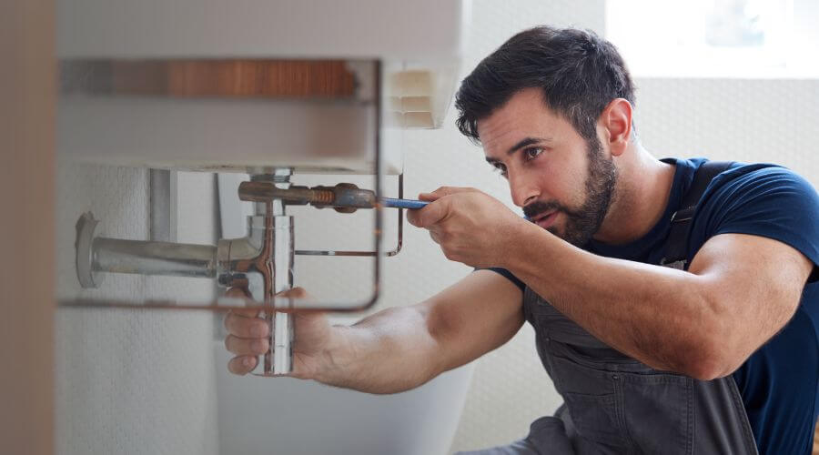 Trap Repair/Replacement in Twining, MI